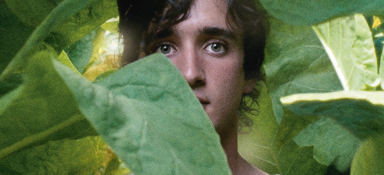 Détail de l'affiche du film Heureux comme Lazzaro