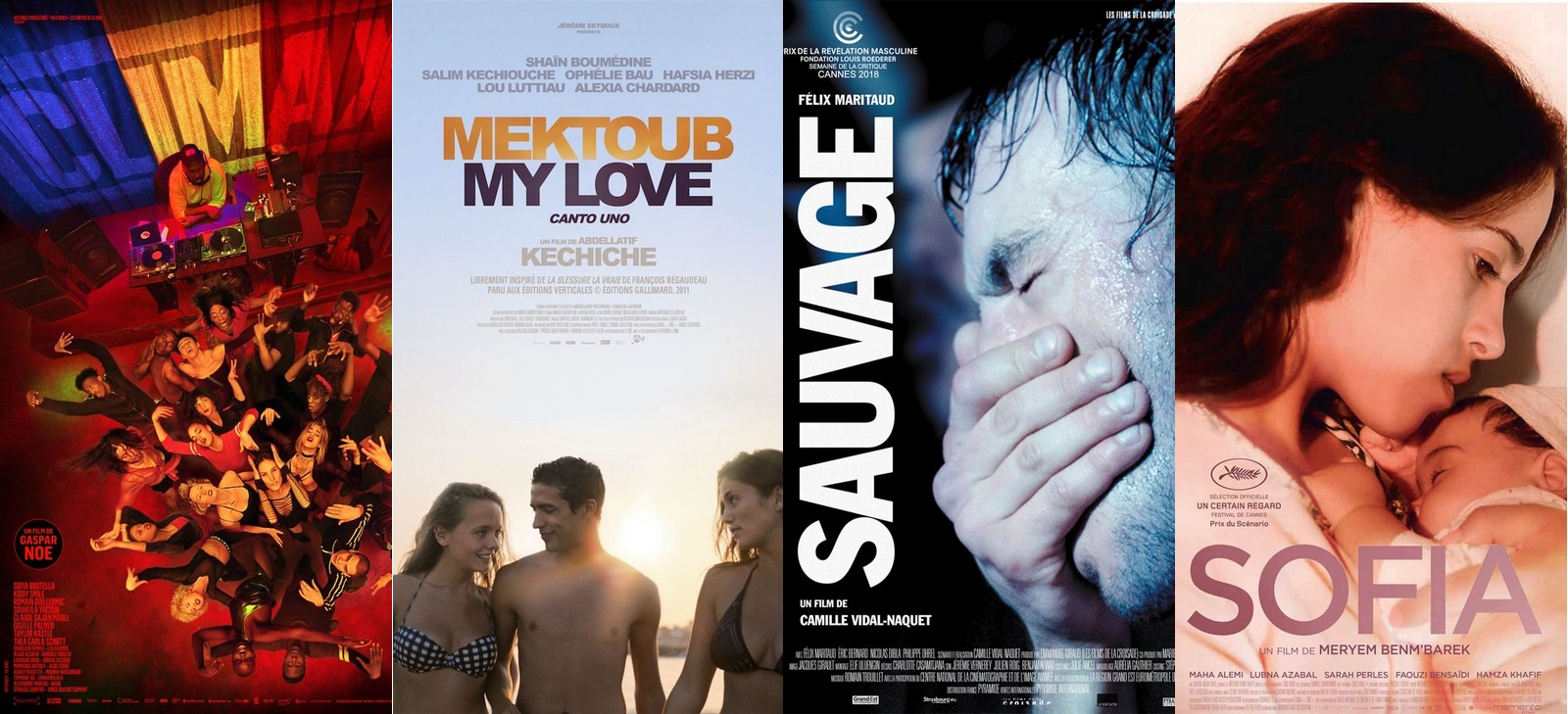Préselection aux César du meilleur espoir 2019 : Affiches des films Climax, Mektoub My Love, Sauvage, et Sofia