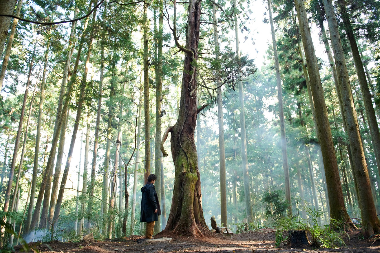 "Cela faisait longtemps que je voulais faire un film dans la forêt de Yoshino. J’ai partagé cette idée avec Juliette Binoche, qui était elle aussi intéressée par la forêt japonaise", déclare la réalisatrice Naomi Kawase